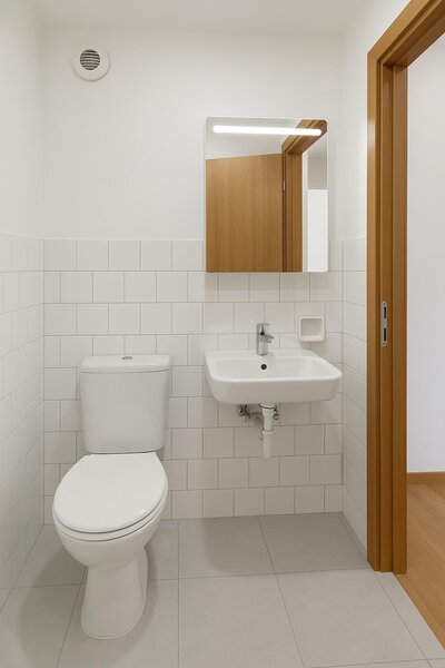 Dristor, Camil Ressu, bloc mixt.